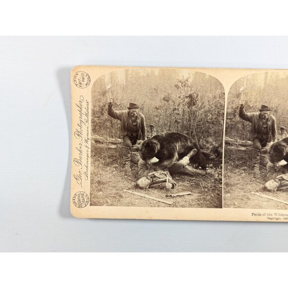 Antique Stereoview card of a Bear Attack "Perils of the Wilderness" Prize - Picture 4 of 9